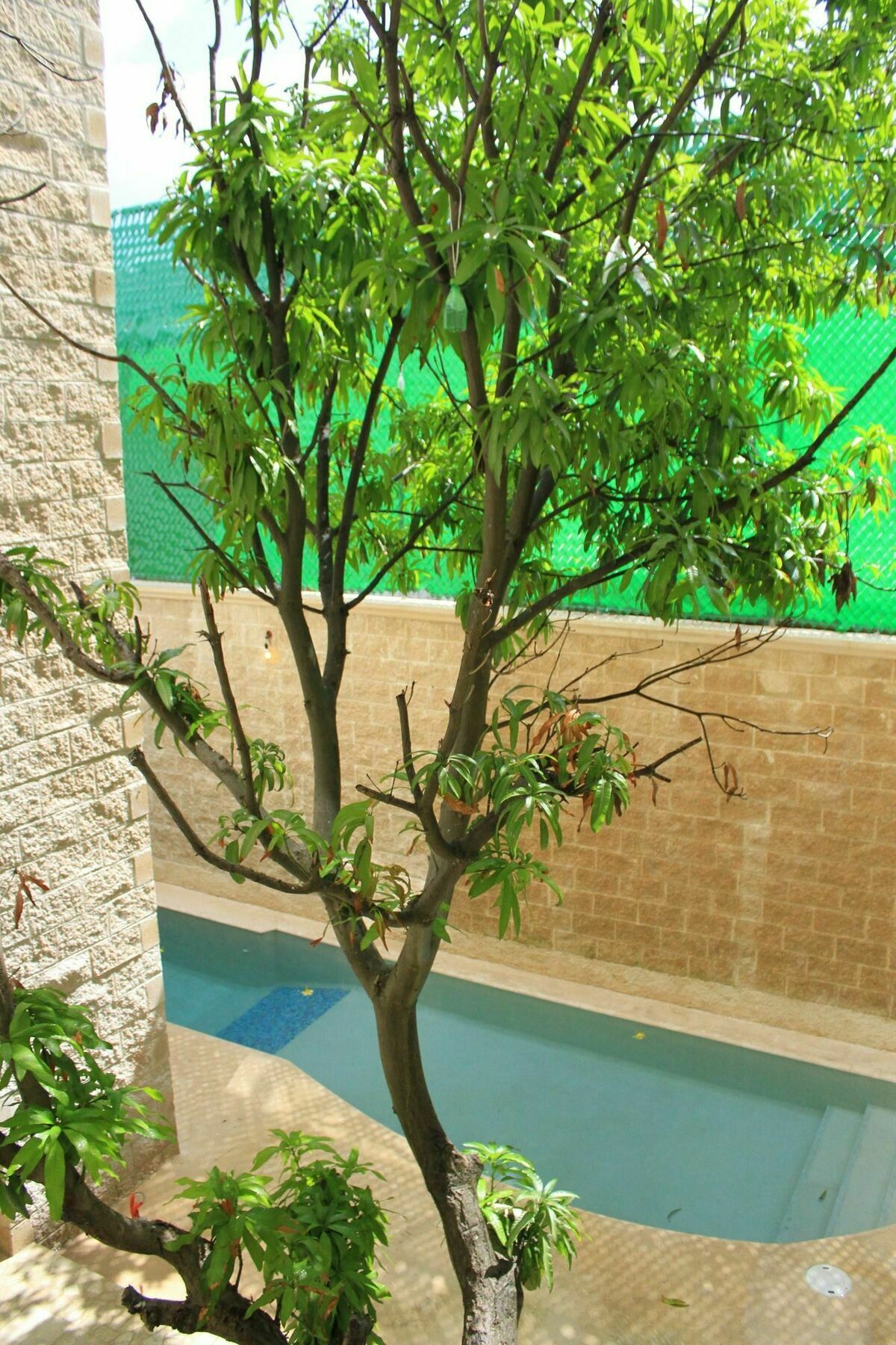 פלאייה דל כרמן Angelo'S Hotel מראה חיצוני תמונה